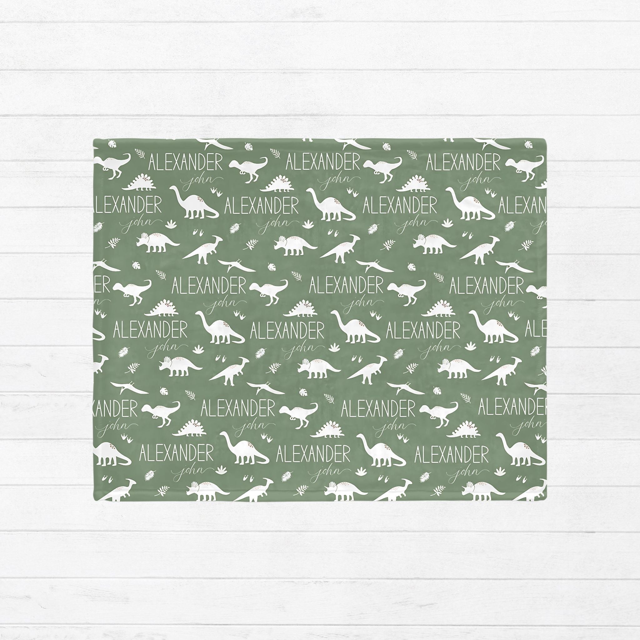 Dinosaur Baby Minky Blanket - Twinklette™