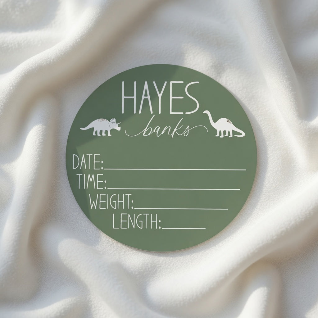 Personalized dinosaur birth stat sign 6 inch round with custom baby name