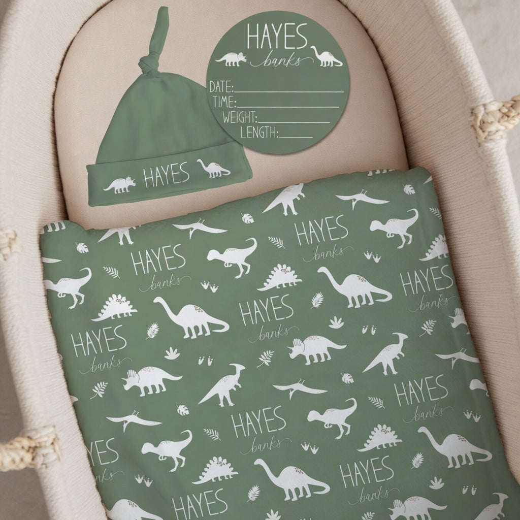 Personalized dinosaur baby bundle with custom name swaddle knotted hat and birth stat sign