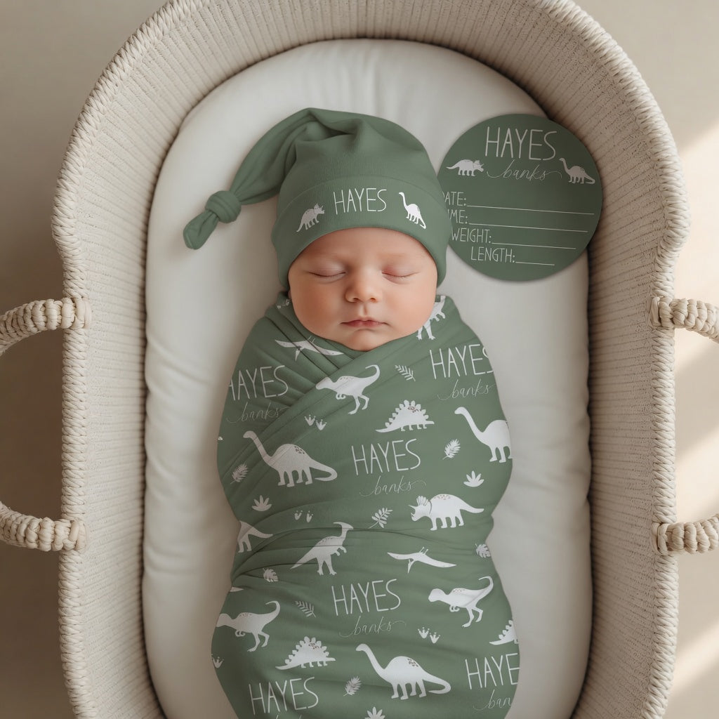 Personalized dinosaur newborn baby bundle